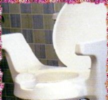 Une aide confortable et sécurisée aux toilettes